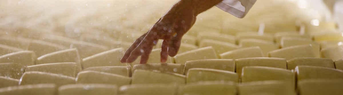 Home Cheesemerchants